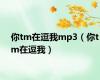 你tm在逗我mp3（你tm在逗我）