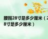 腰围28寸是多少厘米（28寸是多少厘米）