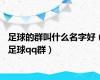 足球的群叫什么名字好（足球qq群）