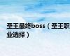 圣王最终boss（圣王职业选择）