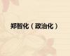 郑智化（政治化）