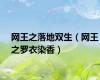 网王之落地双生（网王之罗衣染香）