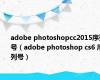 adobe photoshopcc2015序列号（adobe photoshop cs6 序列号）