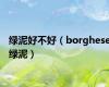 绿泥好不好（borghese绿泥）