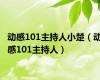 动感101主持人小楚（动感101主持人）