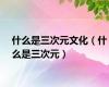 什么是三次元文化（什么是三次元）