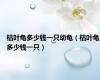 枯叶龟多少钱一只幼龟（枯叶龟多少钱一只）
