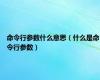 命令行参数什么意思（什么是命令行参数）