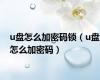 u盘怎么加密码锁（u盘怎么加密码）