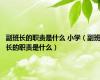 副班长的职责是什么 小学（副班长的职责是什么）