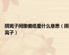 阴离子间隙偏低是什么意思（阴离子）