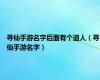 寻仙手游名字后面有个道人（寻仙手游名字）