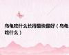 乌龟吃什么长得最快最好（乌龟吃什么）