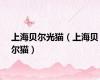 上海贝尔光猫（上海贝尔猫）