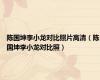 陈国坤李小龙对比照片高清（陈国坤李小龙对比照）