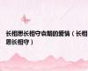 长相思长相守袁朗的爱情（长相思长相守）