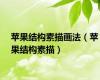 苹果结构素描画法（苹果结构素描）