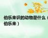 伯乐来识的动物是什么（伯乐来）
