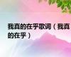 我真的在乎歌词（我真的在乎）