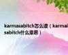 karmasabitch怎么读（karmaisabitch什么意思）