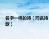名字一样的诗（同名诗歌）