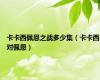卡卡西佩恩之战多少集（卡卡西对佩恩）