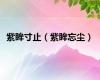 紫眸寸止（紫眸忘尘）