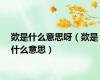 欻是什么意思呀（欻是什么意思）