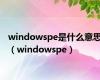 windowspe是什么意思（windowspe）
