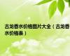 古龙香水价格图片大全（古龙香水价格表）