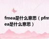 fmea是什么意思（pfmea是什么意思）