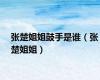 张楚姐姐鼓手是谁（张楚姐姐）