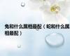 兔和什么属相最配（蛇和什么属相最配）