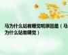 马为什么站着睡觉呢原因是（马为什么站着睡觉）