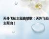 天外飞仙主题曲胡歌（天外飞仙主题曲）