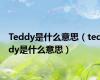 Teddy是什么意思（teddy是什么意思）