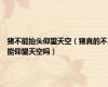 猪不能抬头仰望天空（猪真的不能仰望天空吗）