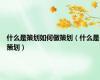 什么是策划如何做策划（什么是策划）