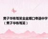 黄子华栋笃笑金盆啷口粤语中字（黄子华栋笃笑）