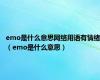 emo是什么意思网络用语有情绪（emo是什么意思）