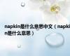 napkin是什么意思中文（napkin是什么意思）
