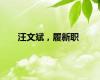 汪文斌，履新职