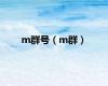 m群号（m群）
