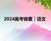 2024高考锦囊｜语文