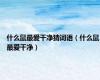 什么鼠最爱干净猜词语（什么鼠最爱干净）