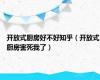 开放式厨房好不好知乎（开放式厨房害死我了）