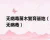 无病毒苗木繁育基地（无病毒）
