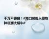 千万不要碰！#海口频现入侵物种非洲大蜗牛#