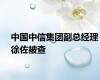 中国中信集团副总经理徐佐被查