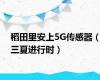 稻田里安上5G传感器（三夏进行时）